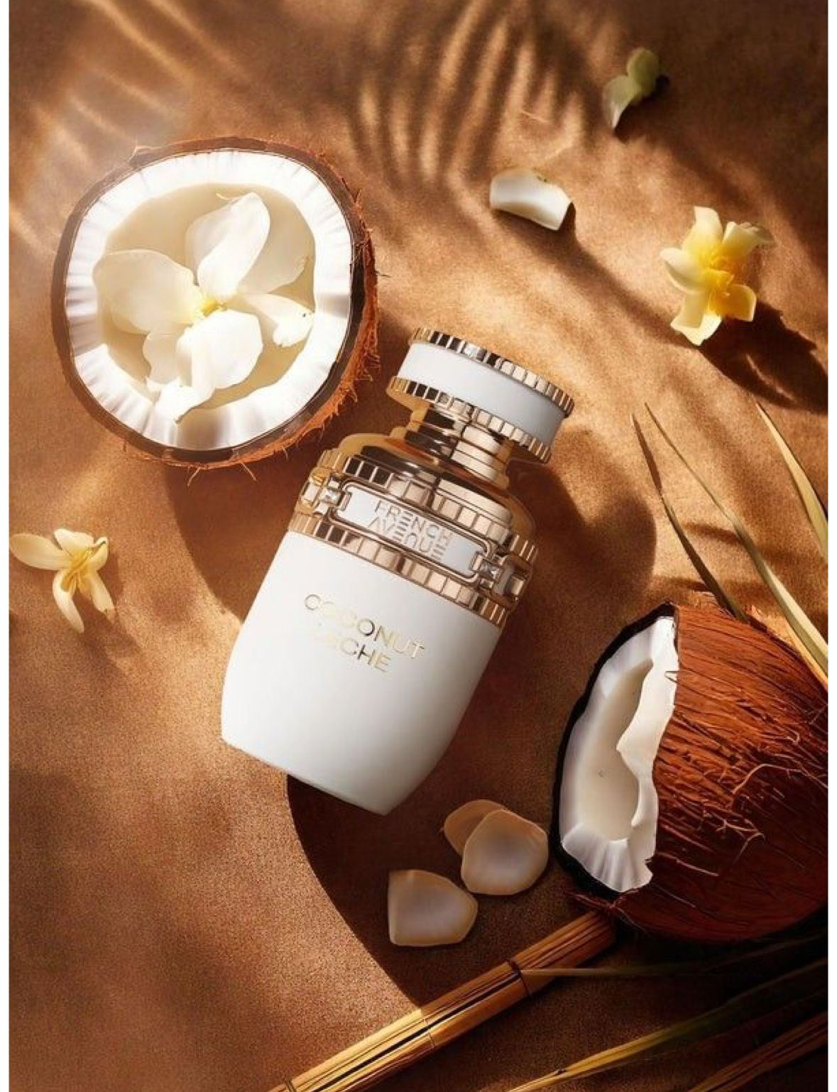 Coconut Leche by French Avenue